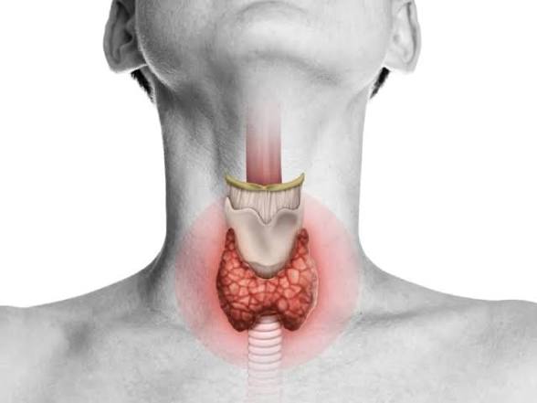 راهنمای آزمایش تیروئید